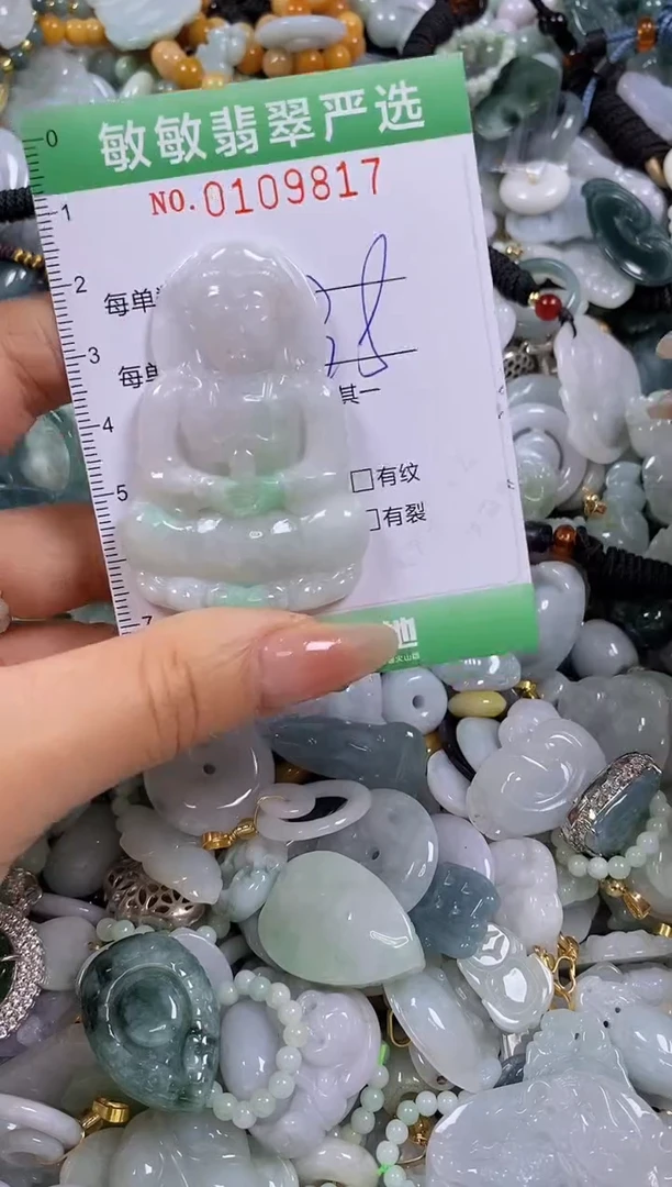 【闪购商品】翡翠颈饰未镶嵌闪购0109817