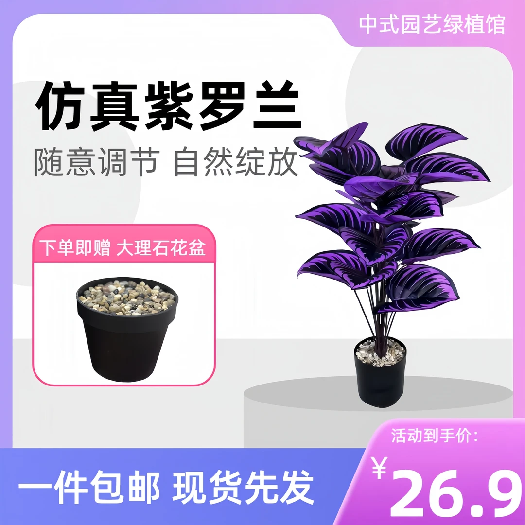 仿真紫罗兰绿植盆栽花永生花花盆高颜值家居装饰品室内植物