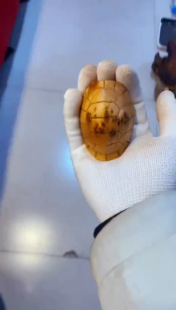 柏木（崖柏）77北太行崖柏手把件手串