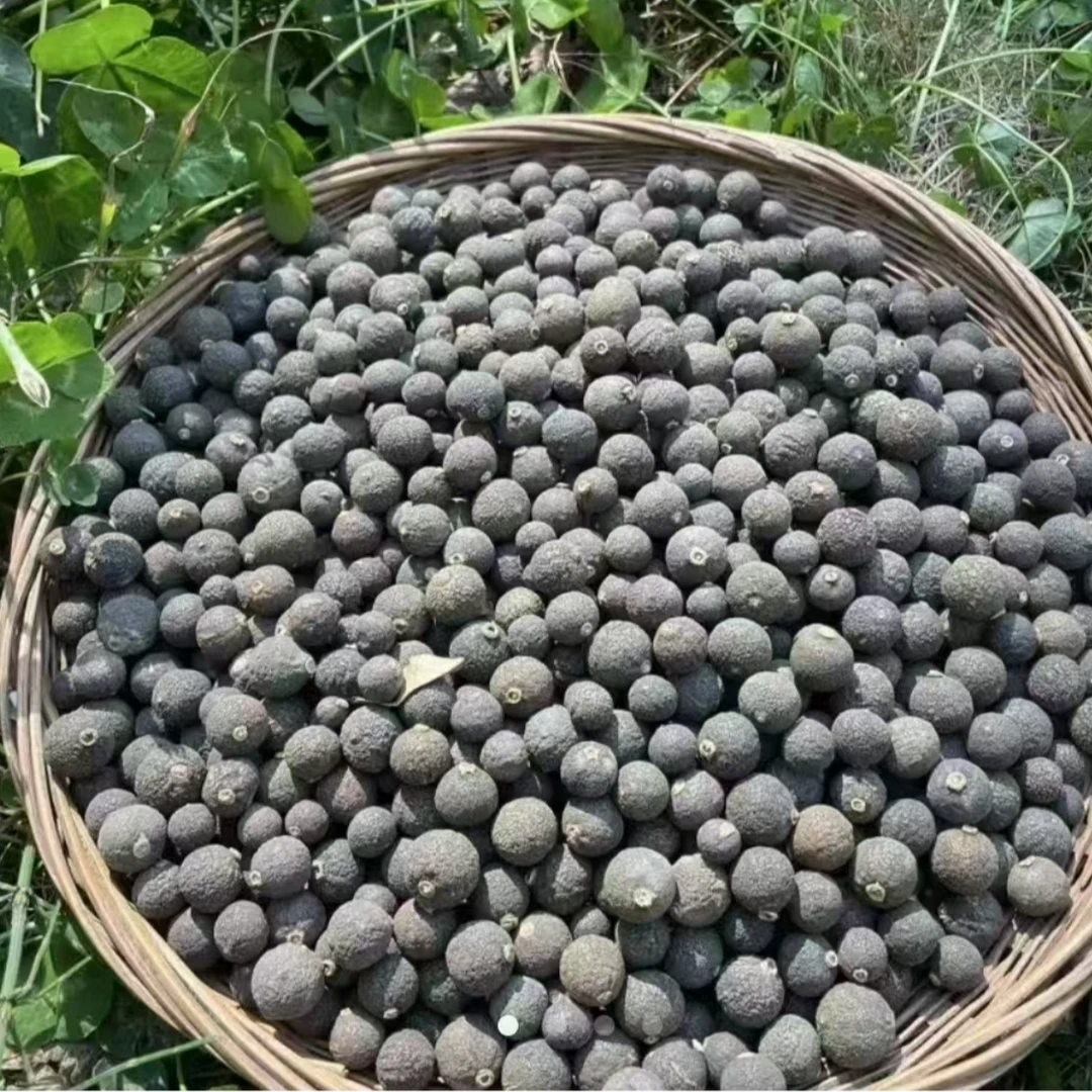 【3分钟临时链接】农家高山优选小胎柑500克