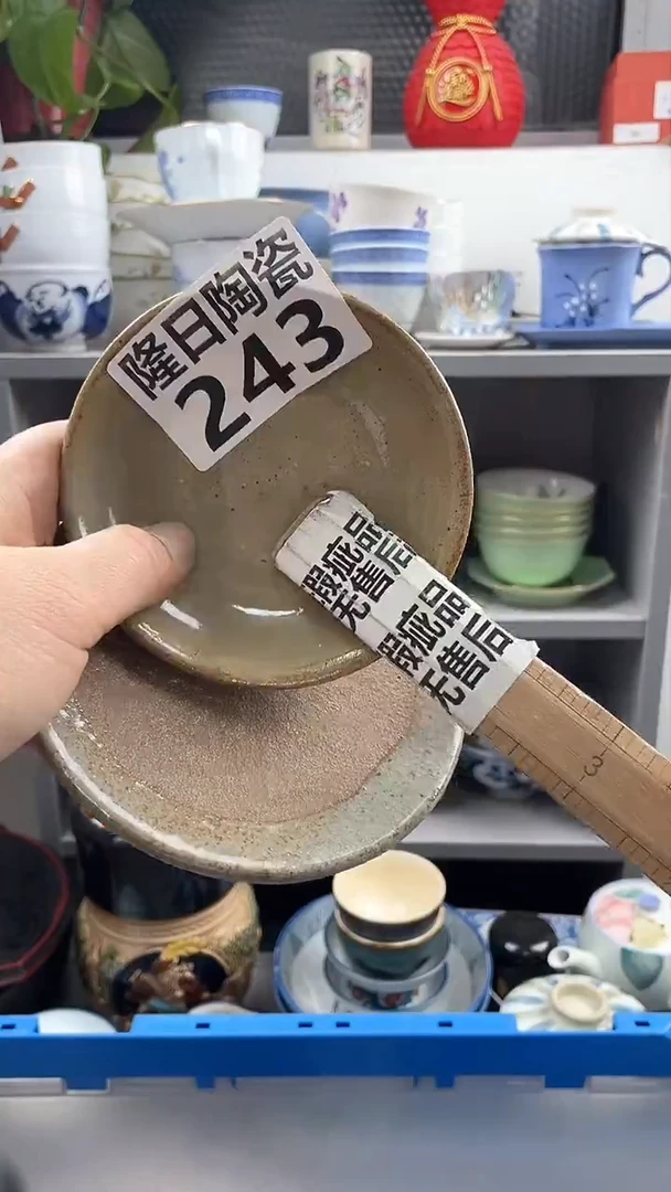 【闪购商品】瓷片243longritaoci