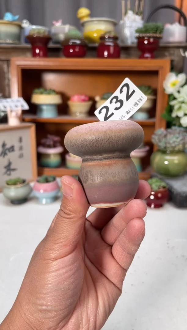 瓷片232小芳直播编号