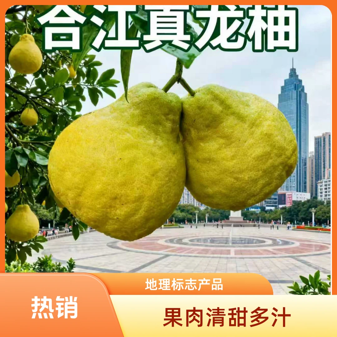 四川合江真龙柚纯甜无酸应季水果汁水充足越放越甜【合江特产】