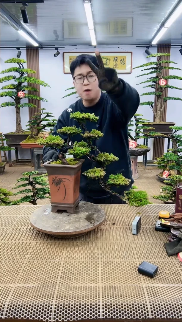 【闪购商品】一物一拍，所见即所得