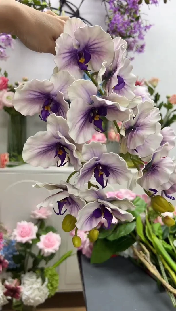 2枝紫色蝴蝶兰