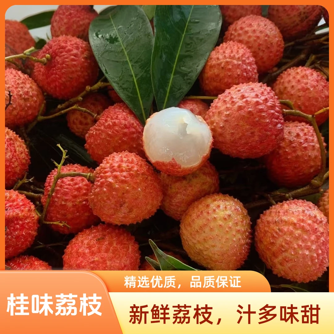 【 爱马仕 桂味荔枝】鲜甜的刚刚好  一口鲜甜【河南省内发】