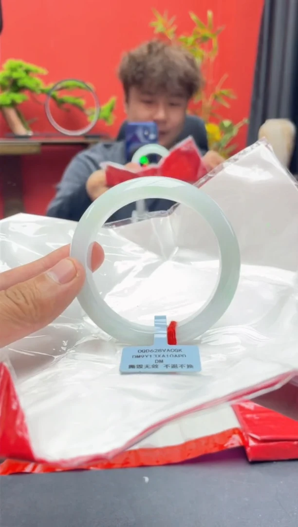 未镶嵌手镯翡翠12