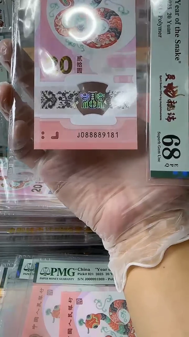 塑料088889181-蛇钞单张