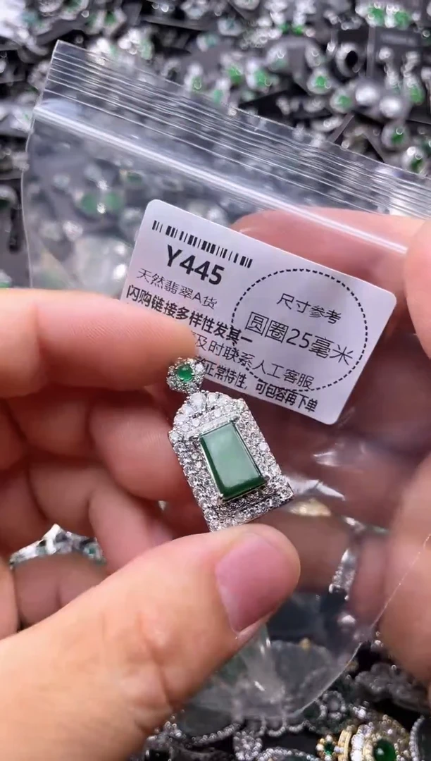 翡翠未镶嵌颈饰Y445吊坠