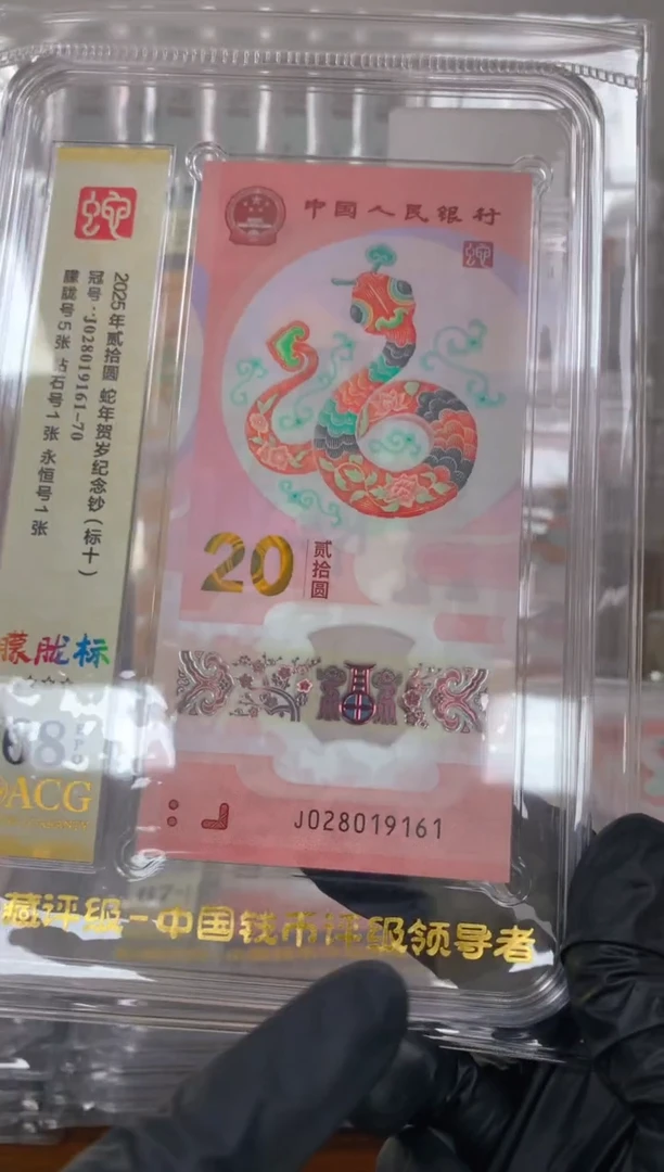 塑料2025蛇钞 真钞 评级封装