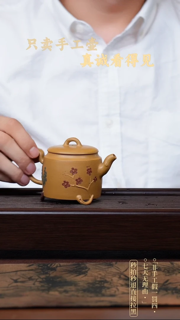 茶壶紫砂宜兴紫砂壶           12