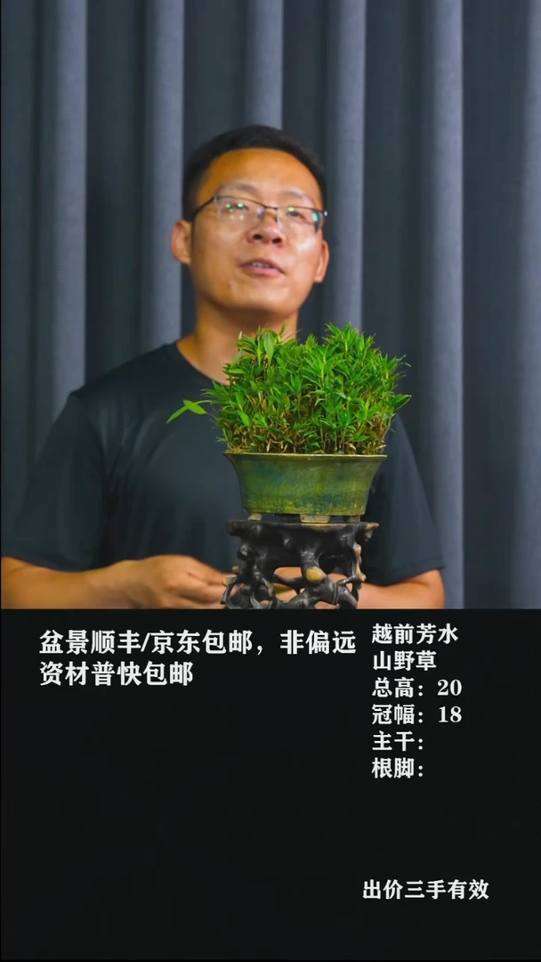 无花朵给**首芳水草-287