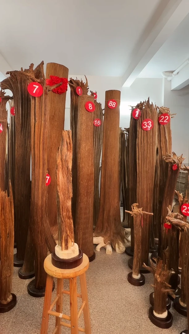 沉香摆件知*沉香原料6