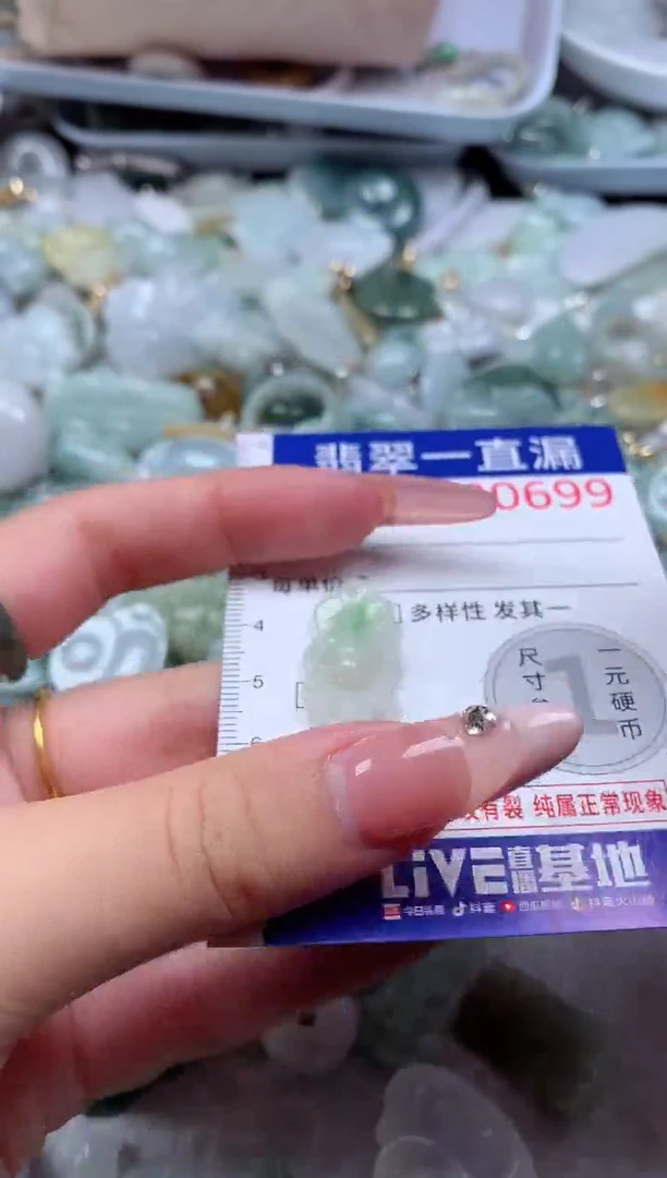 翡翠未镶嵌吊坠(不含链)699