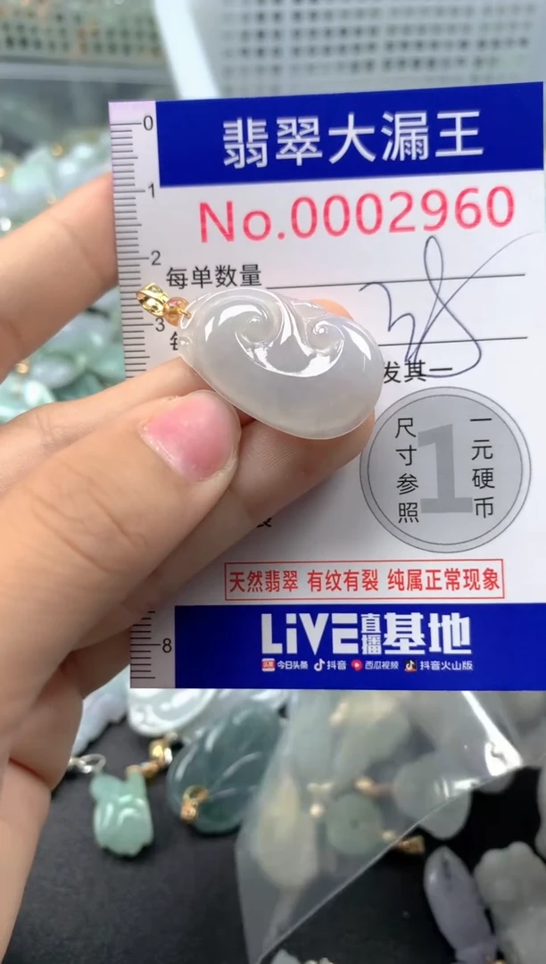 颈饰未镶嵌翡翠2960