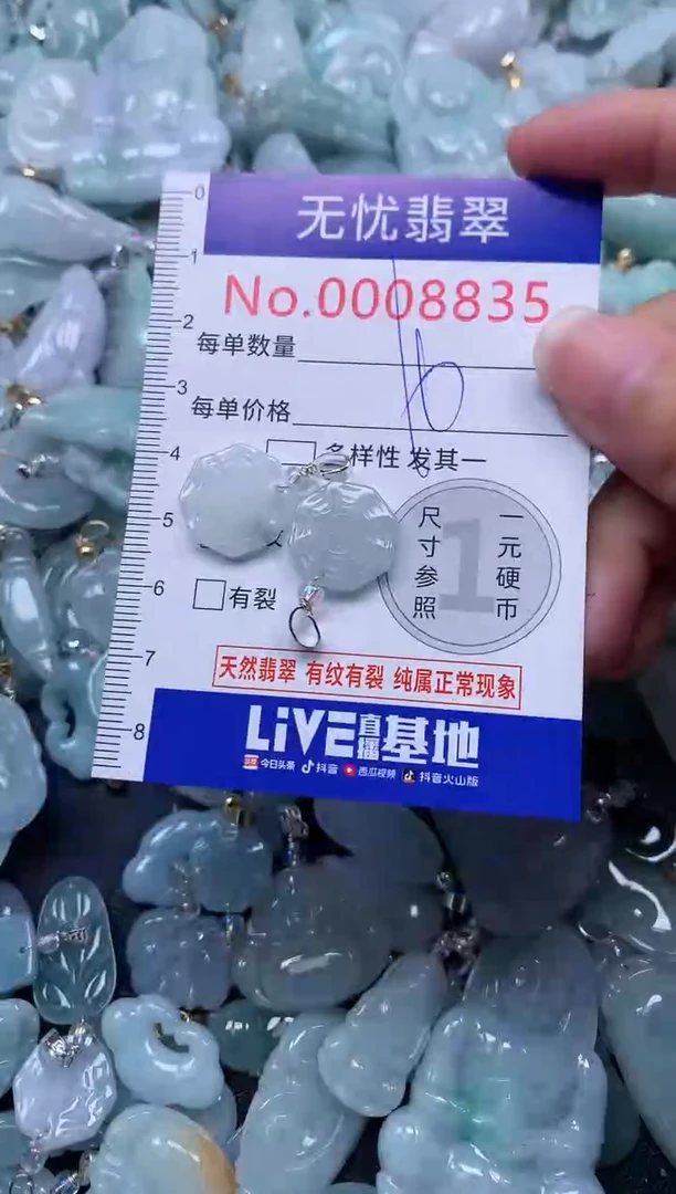 颈饰未镶嵌翡翠8835