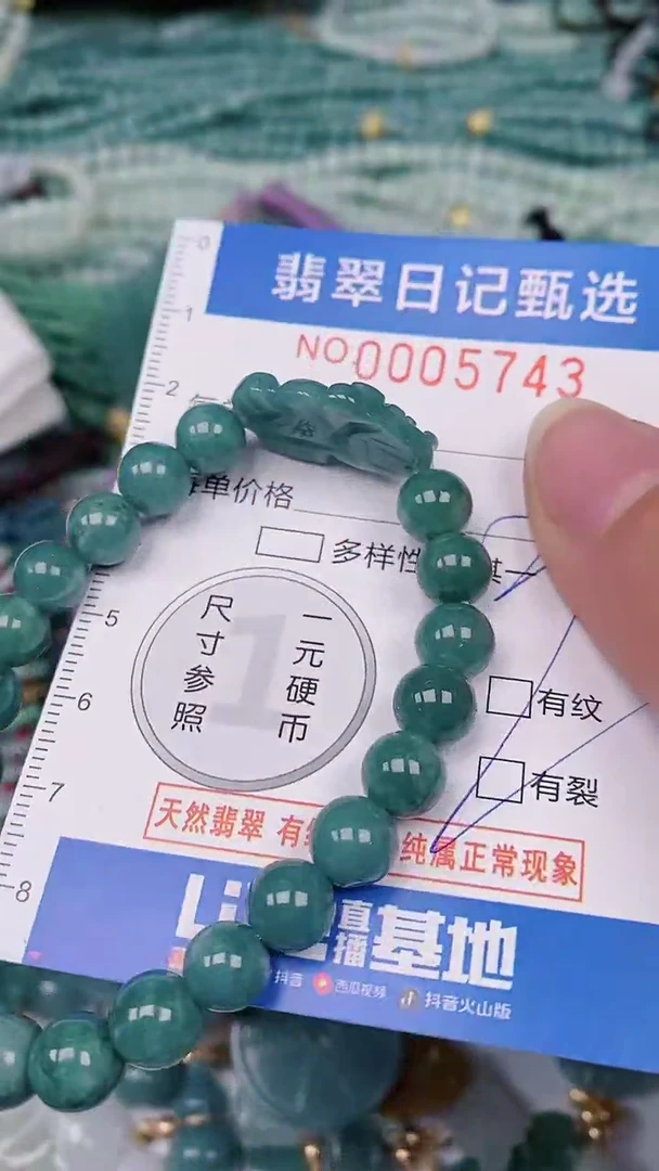 【闪购商品】翡翠颈饰未镶嵌00005743