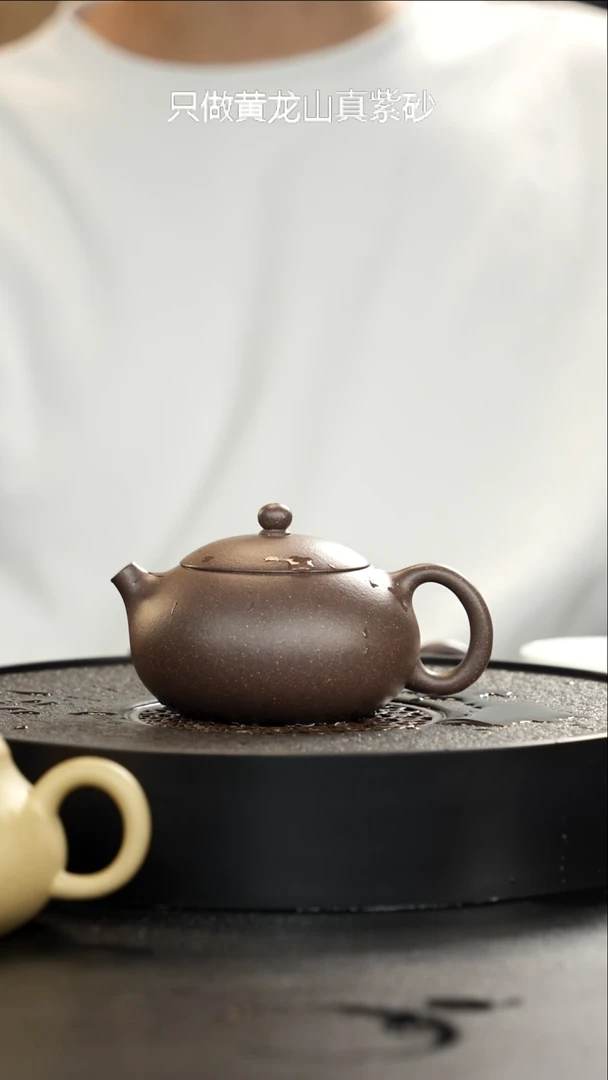 茶壶紫砂大水潭天青共生西施大漏