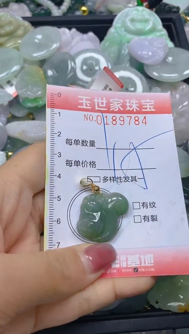【闪购商品】翡翠颈饰未镶嵌闪购0189784
