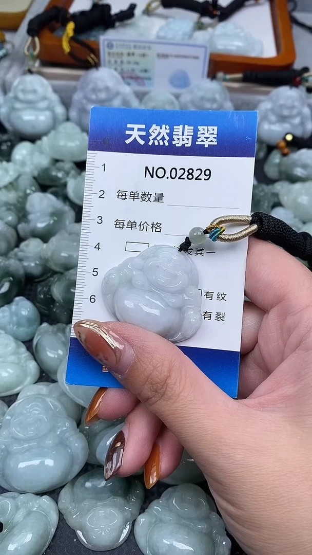 颈饰未镶嵌翡翠纯天然A货翡翠2829