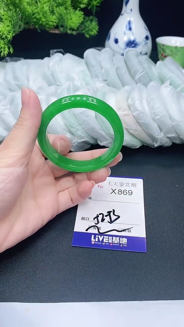 未镶嵌手镯翡翠869