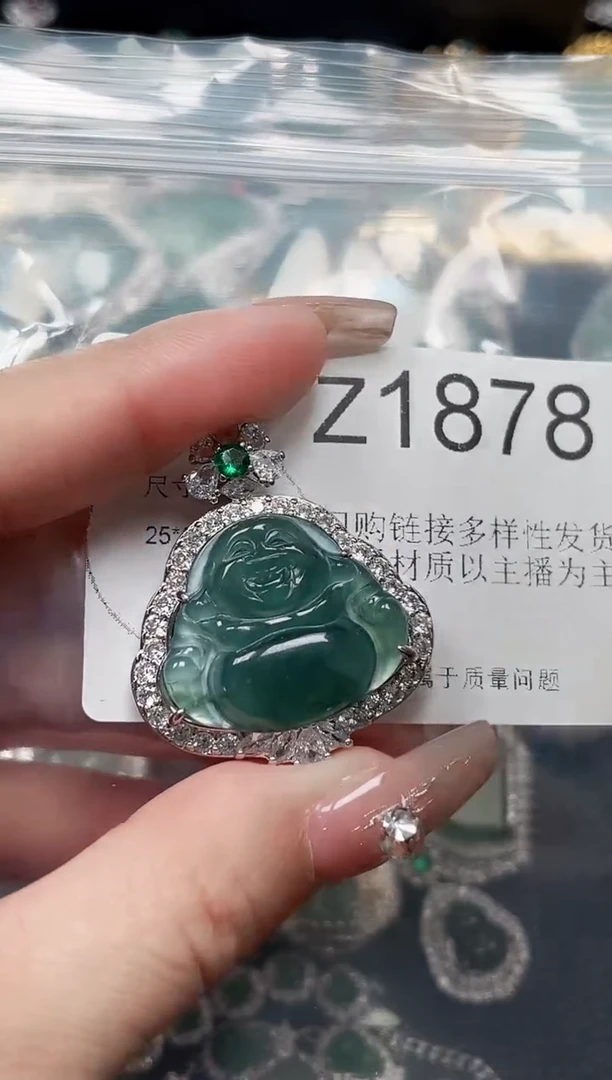 【闪购商品】翡翠颈饰未镶嵌赠皮绳1878