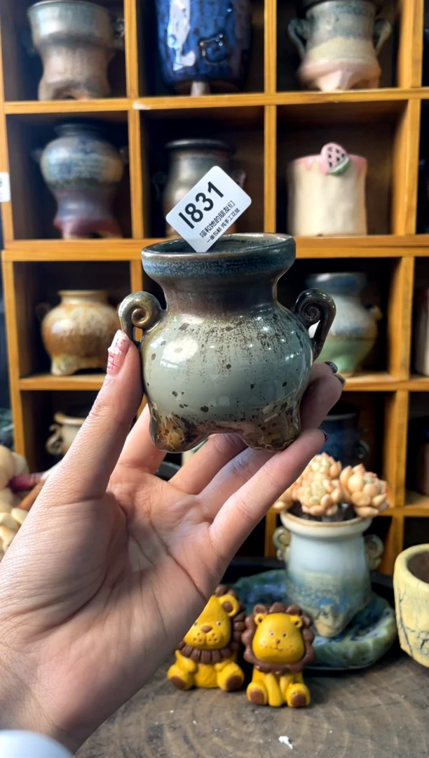 831内口4.5【多肉花盆多肉盆】