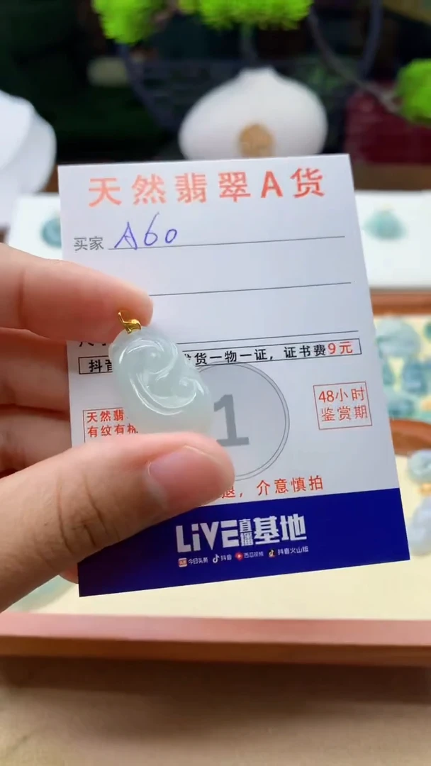 翡翠未镶嵌颈饰天然A货翡翠挂件