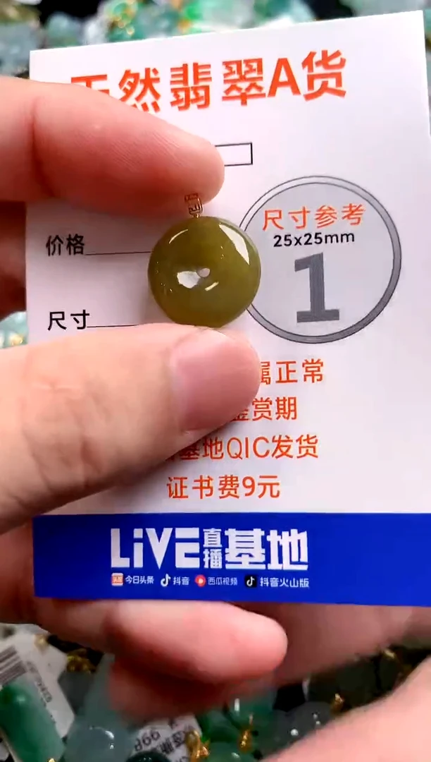 颈饰18K金镶嵌翡翠13003878
