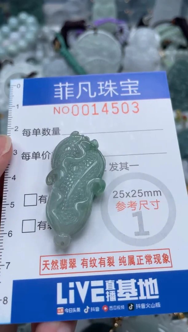 颈饰未镶嵌翡翠14503