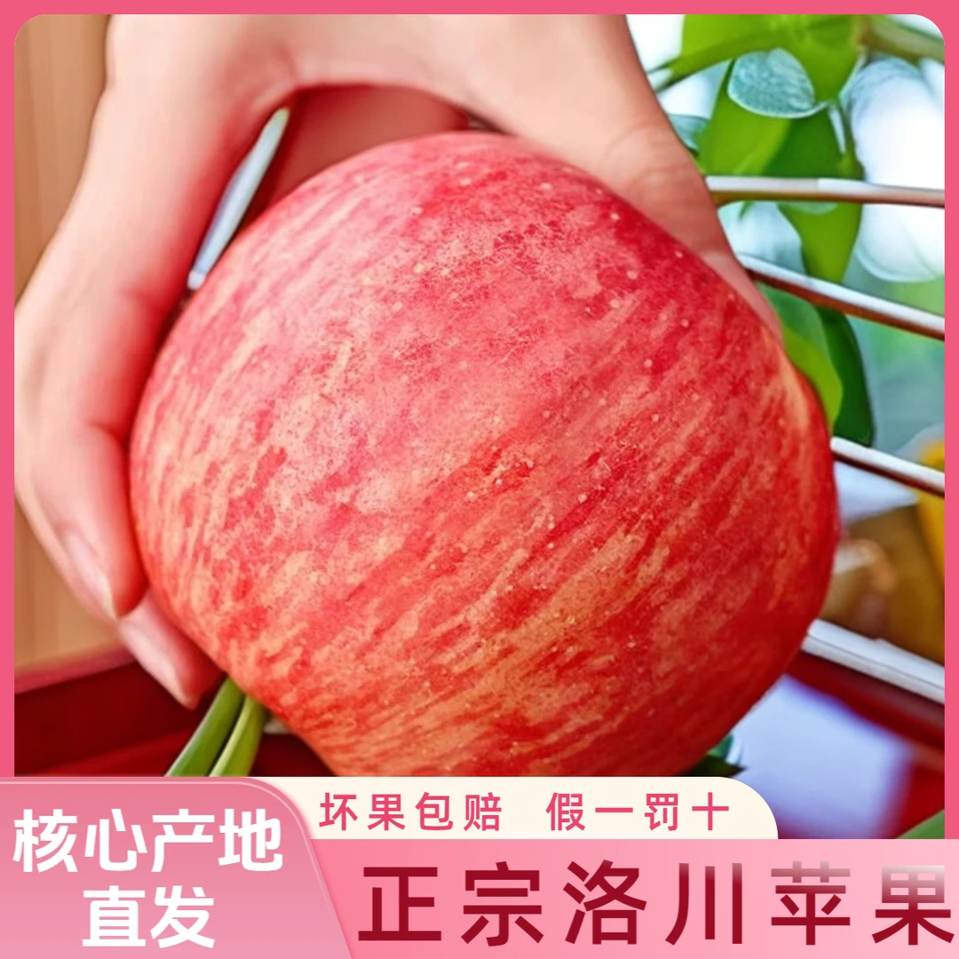 陕西延安洛川正宗高原红富士脆甜多汁孕妇宝宝可吃苹果