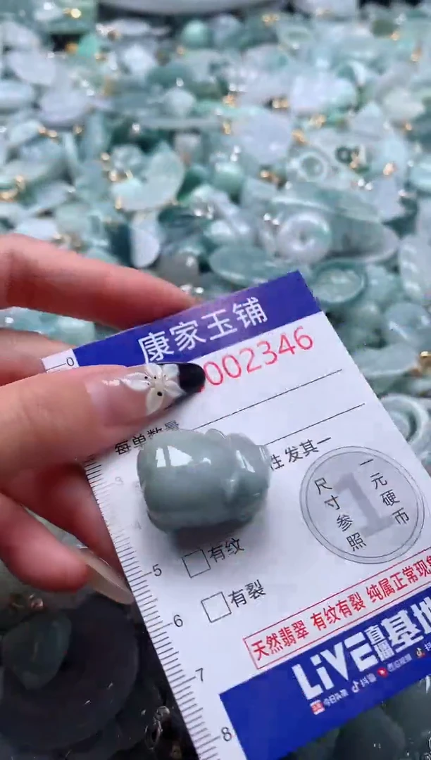 颈饰未镶嵌翡翠2346