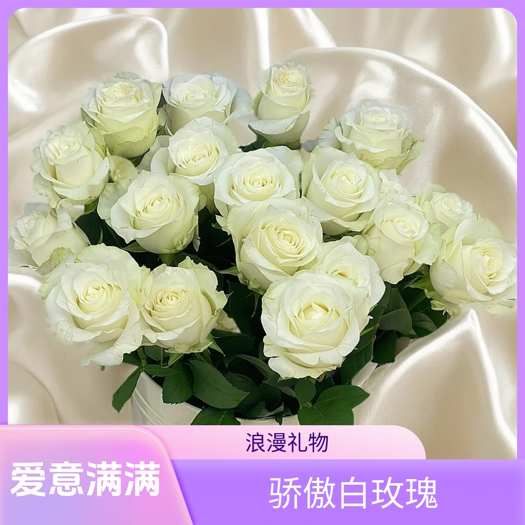 骄傲玫瑰：拍下10+10防损耗（哈尔滨发货，收到需要醒花）