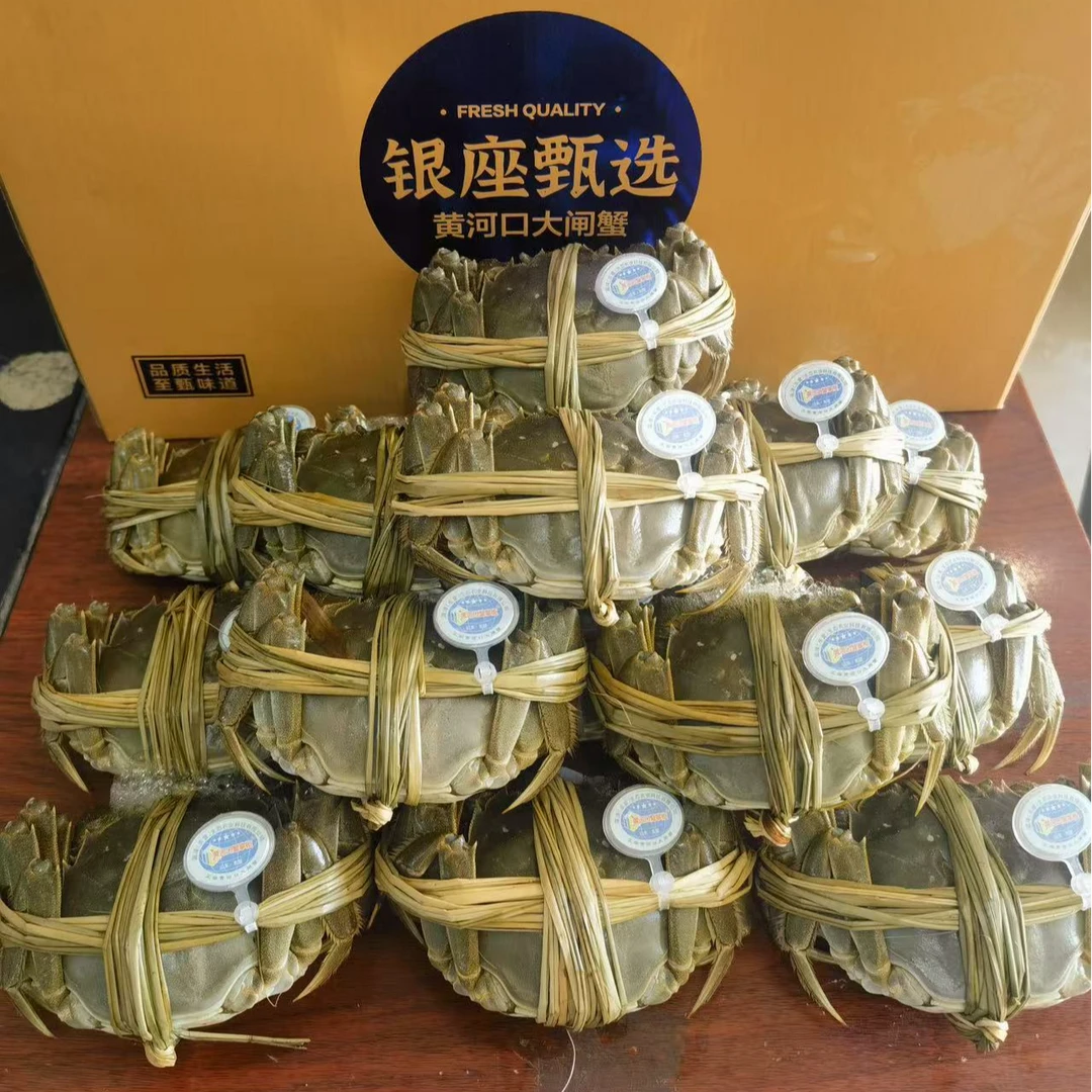 【精品活蟹】-大闸蟹-母蟹2两/十只