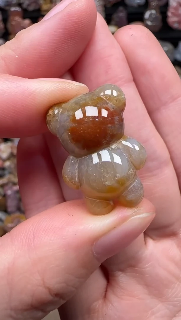 颈饰未镶嵌硅化珊瑚（珊瑚玉）194