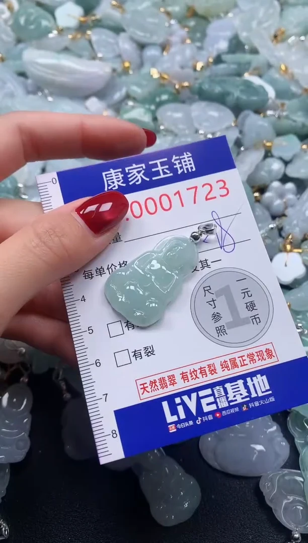 颈饰未镶嵌翡翠1723