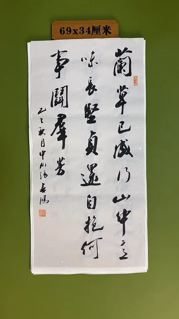 书法书法 张若鸿 尺寸69cm*34cm