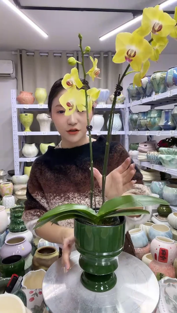 【11.17号】直播链接 高： 17 口：12