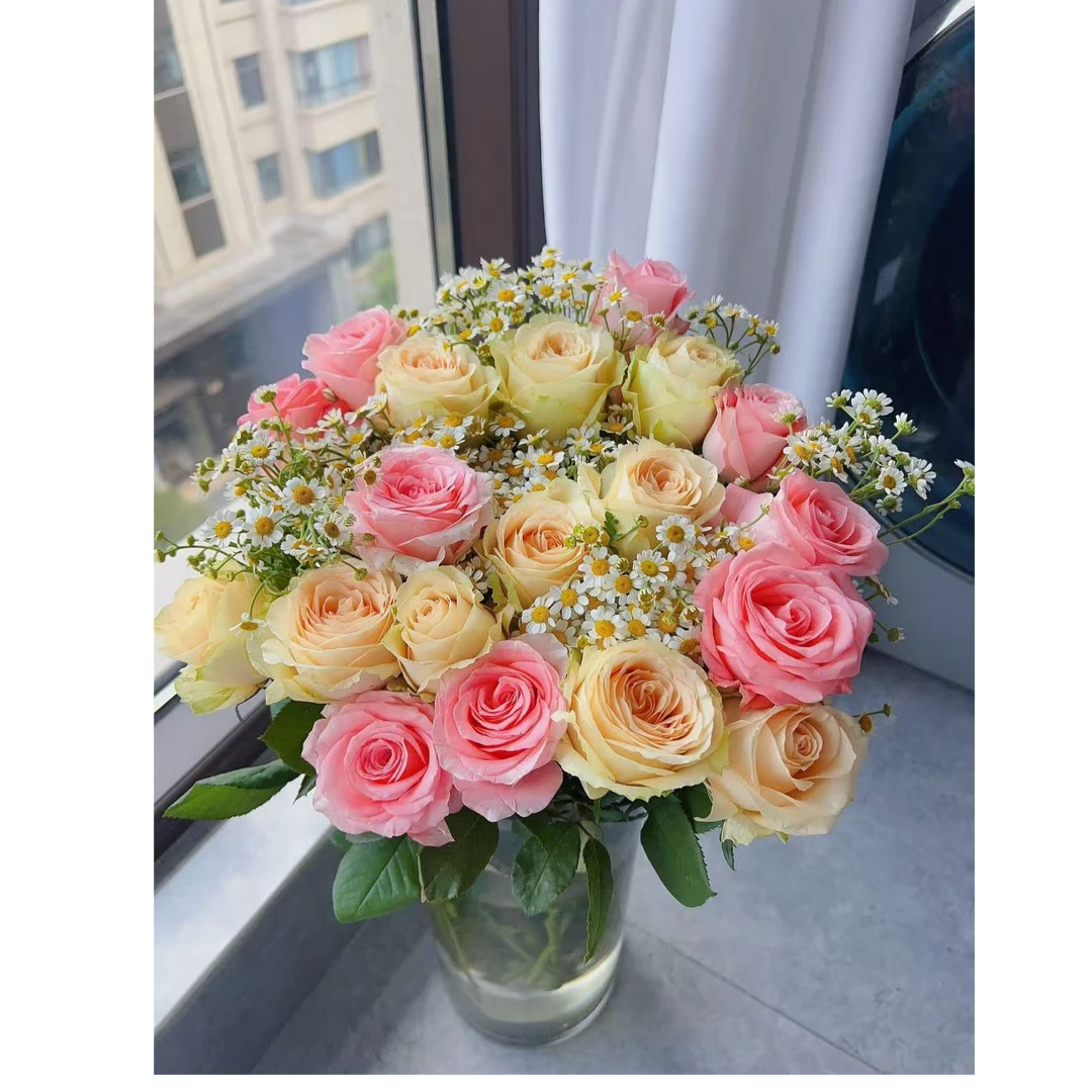 混搭花香槟5支戴安娜5支洋甘菊3支{今天拍明天到，次日达，全场任意两单顺丰包邮到家}