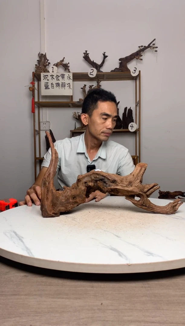 A**n鱼缸造景沉木摆件