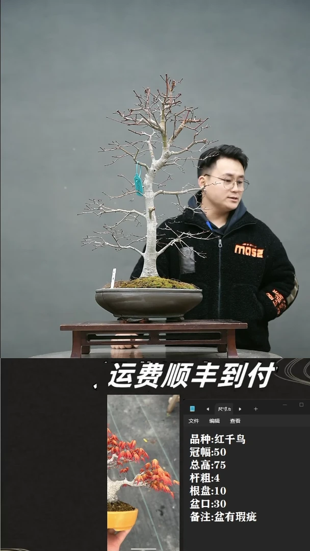 【闪购商品】11 红千鸟