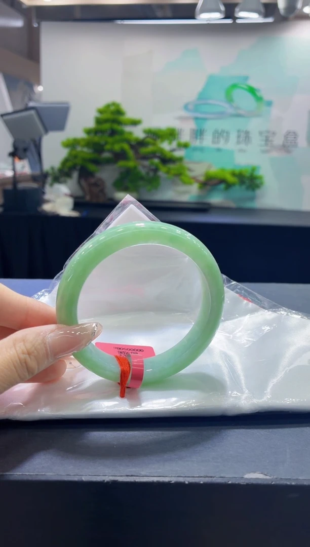 未镶嵌手镯翡翠6