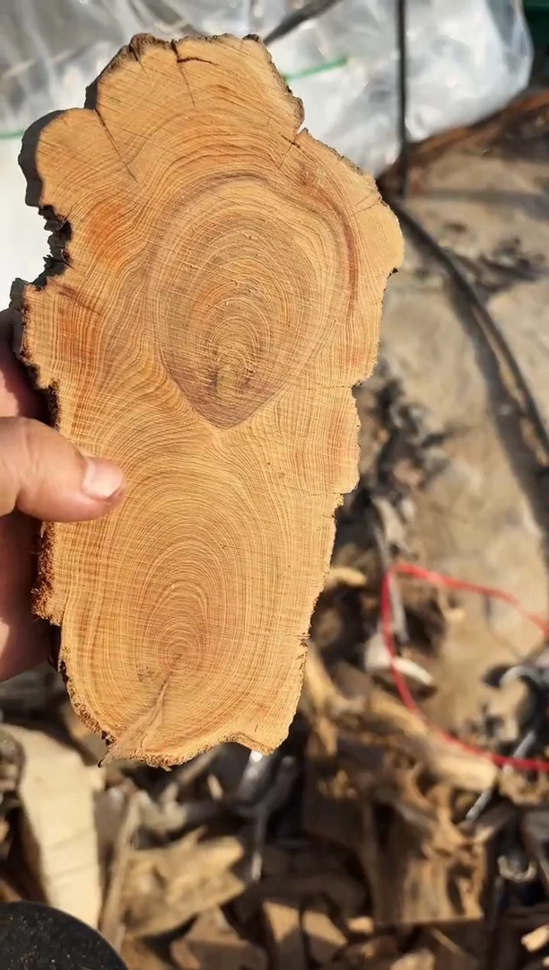 【闪购商品】柏木（崖柏）南太行崖柏毛料1