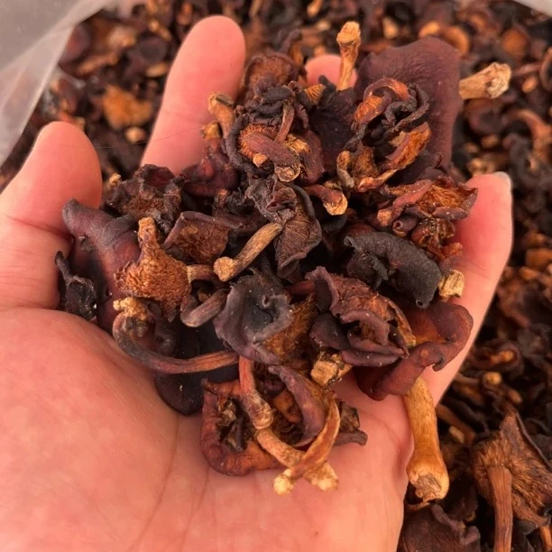 缅甸特产黑玫瑰野香菇特级类精品小香菇营养美味