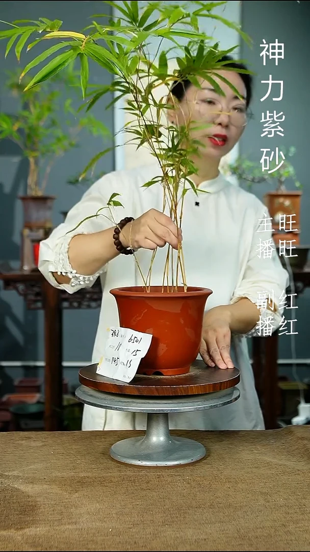 紫砂花盆6501 瑕 紫砂花盆紫砂