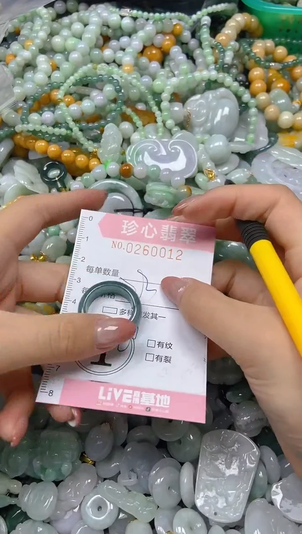 翡翠未镶嵌颈饰闪购0260012