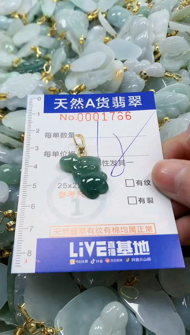 颈饰未镶嵌翡翠纯天然a货翡翠