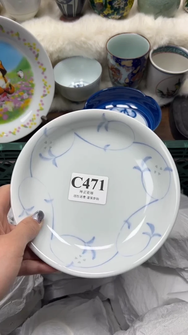 【闪购商品】瓷片          C471