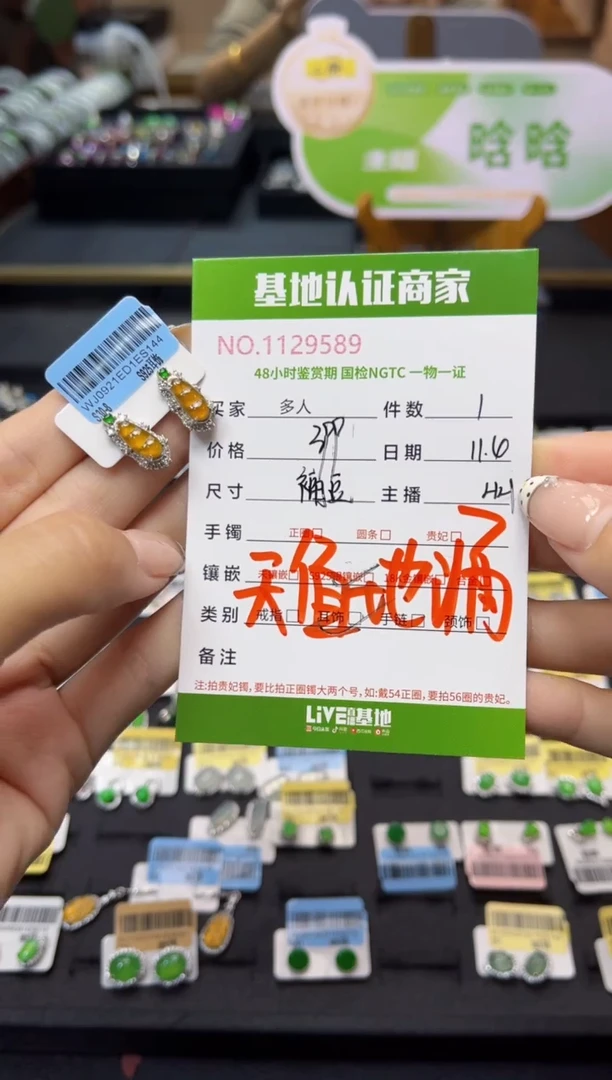 银S925镶嵌翡翠耳饰多人