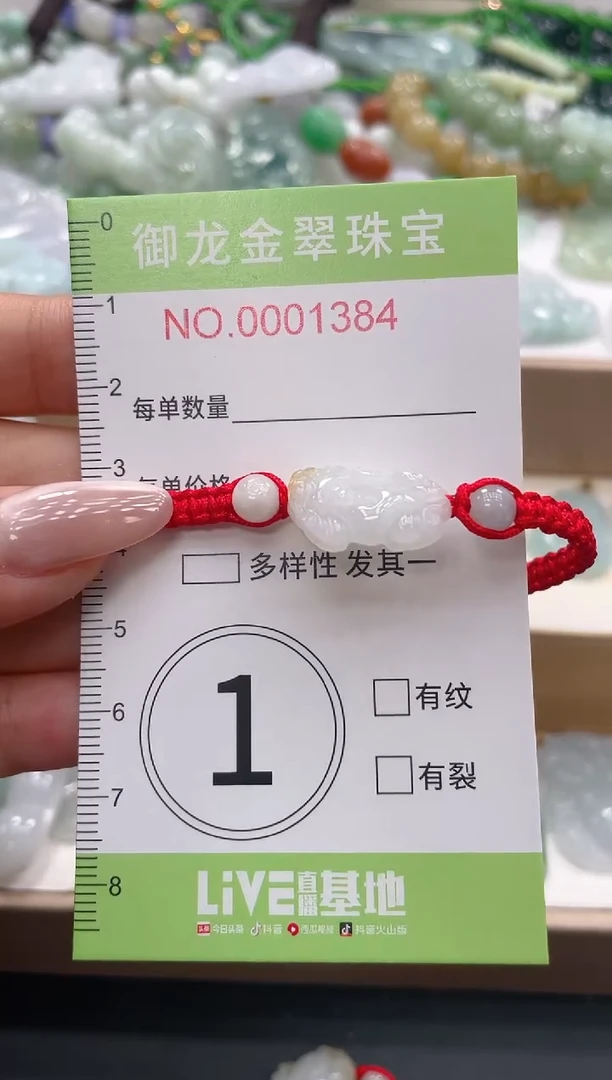 颈饰未镶嵌翡翠R****n1